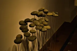 Meyer-Optik Görlitz Primagon 35mm f4.5 (M42) - 00000292.webp