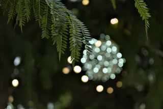 Industar-50-2 50mm f3.5 (M42) - 00001239.webp