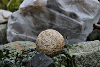 Carl Zeiss Jena Sonnar 180mm f2.8 MC (P6) - 00001524.webp