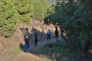 Tamron 28-300mm F3.5-6.3 (EF) - 00000775.webp