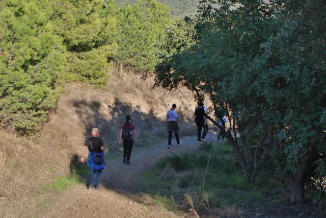 Tamron 28-300mm F3.5-6.3 (EF) - 00000775.webp