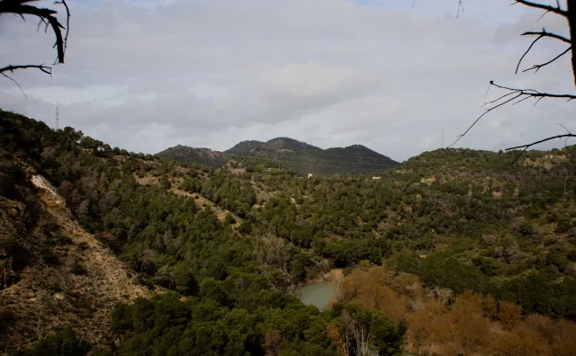 Auto Exaktar EEM 35mm f2.8 ( Minolta MD) - 00002923.webp