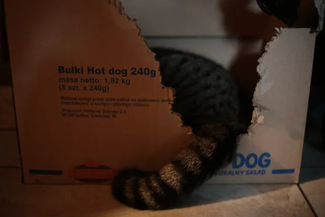 Mistera Lenso - 00004718.webp