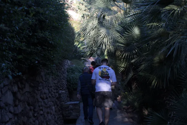 Tamron 28-300mm F3.5-6.3 (EF) - 00000587.webp