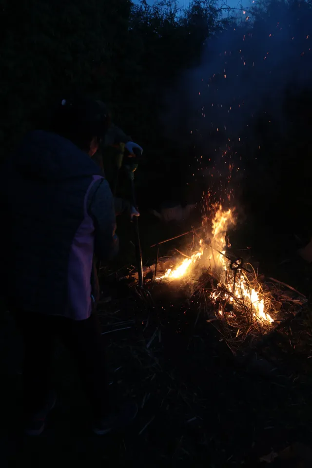 Canon EF 24mm f2.8 (EF) - 00005546.webp