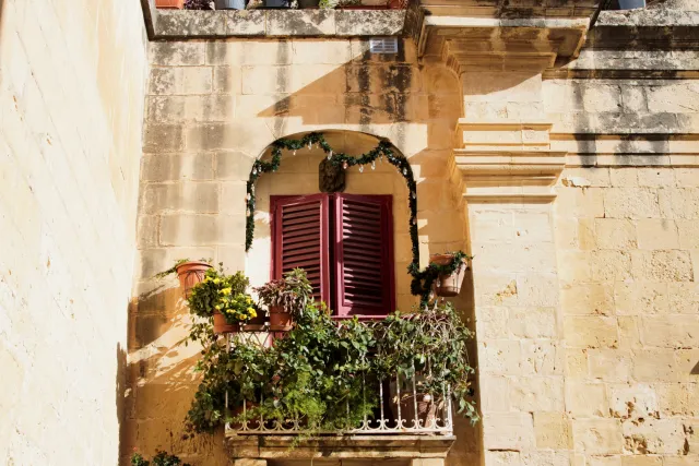 Tamron 28-300mm F3.5-6.3 (EF) - 00003744.webp