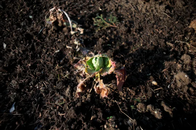 Mamiya-Sekor SX Auto 28mm f2.8 (M42) - 00004907.webp