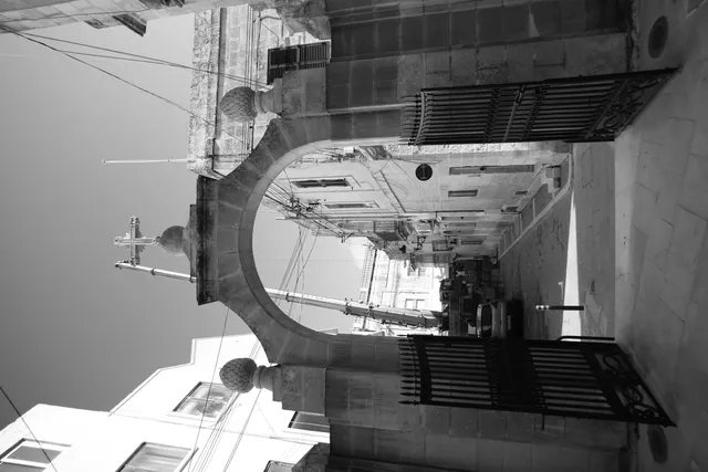 Carl Zeiss Flektogon f4 20mm (m42).md - 00003828.webp