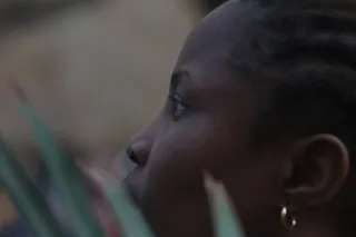 Tair-11A 135mm f2.8 (M42) - 00004180.webp