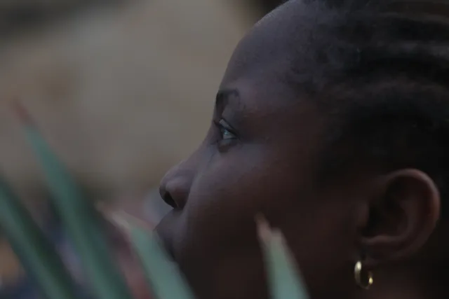 Tair-11A 135mm f2.8 (M42) - 00004180.webp