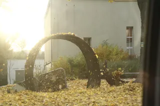 Jena Biotar 58mm f2.0 (wczesny, ~1953) (M42) - 00000023.jpg