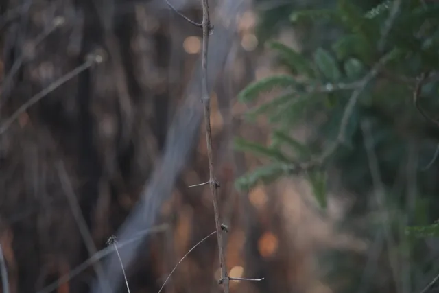 Isco-Göttingen Edixa Westromat 135mm f3.5 (M42) - 00004987.webp