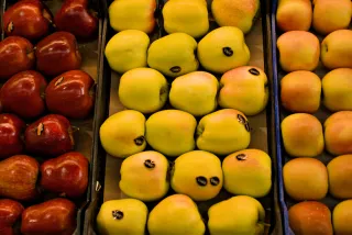 Tamron 28-300mm F3.5-6.3 (EF) - 00000567.webp