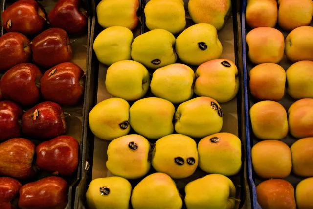 Tamron 28-300mm F3.5-6.3 (EF) - 00000567.webp