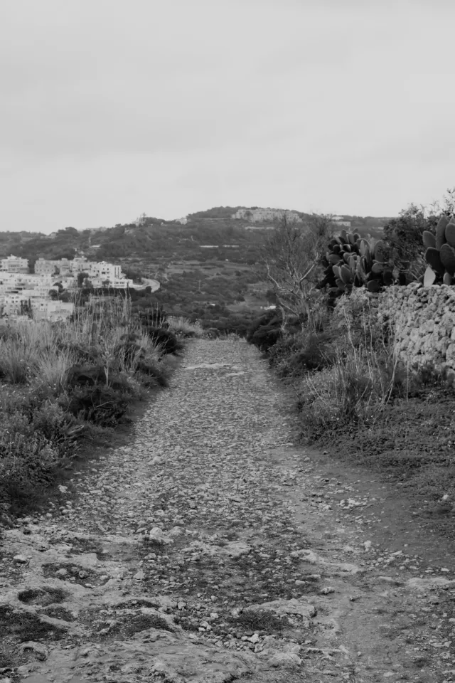 Carl Zeiss Jena DDR Pancolar Electric 50mm f1.8 (M42) - 00004547.webp