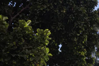 Industar-50-2 50mm f3.5 (M42) - 00002414.webp