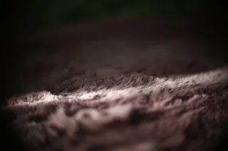 Simplex Ampro Ltd 2.5cala (63.5mm) f1.8 16mm (DIY) - 00002198.webp