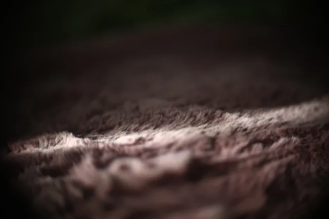 Simplex Ampro Ltd 2.5cala (63.5mm) f1.8 16mm (DIY) - 00002198.webp