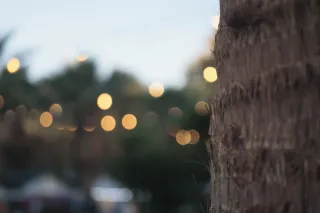 Industar-50-2 50mm f3.5 (M42) - 00002437.webp