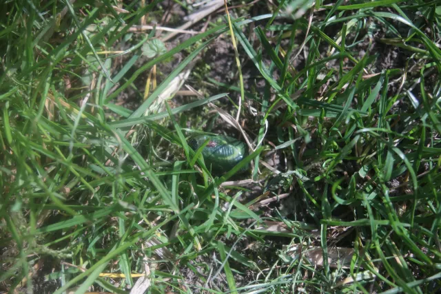 SMC Pentax-A 35-70mm f3.5-4.5 Macro (Pentax-K) - 00005719.webp