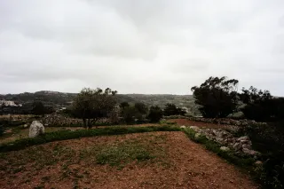 Carl Zeiss Flektogon f4 20mm (m42).md - 00004503.webp