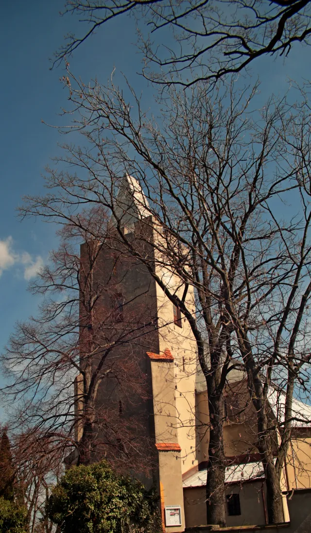 Vivitar Series 1 28-105mm f2.8-3.8 VMC Macro (Olympus OM) - 00005531.webp