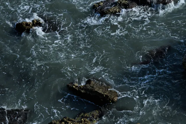 Tamron 28-300mm F3.5-6.3 (EF) - 00000350.webp