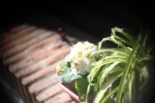 Simplex Ampro Ltd 2.5cala (63.5mm) f1.8 16mm (DIY) - 00003117.webp