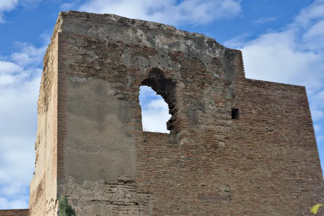 Meyer-Optik Görlitz Primagon 35mm f4.5 (M42) - 00001150.webp