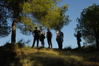 Tamron 28-300mm F3.5-6.3 (EF) - 00000782.webp