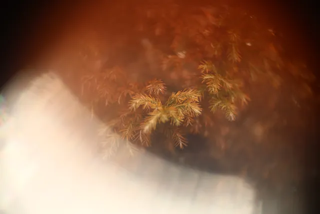 Simplex Ampro Ltd 2.5cala (63.5mm) f1.8 16mm (DIY) - 00002219.webp