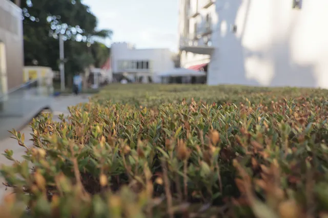 Tokina at-x 116 (EF) - 00002592.webp