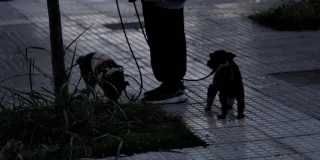 Zenith Helios-77M-4 50mm f1.8 VOMZ (M42) - 00000315.webp