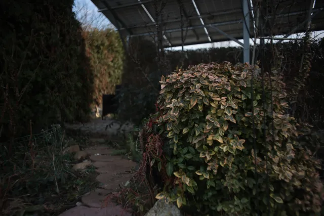 Mamiya-Sekor SX Auto 28mm f2.8 (M42) - 00004903.webp