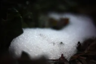 KOWA SUPER PROMINAR-16 50mm f1.2 Eiki 16mm (DIY) - 00001984.webp