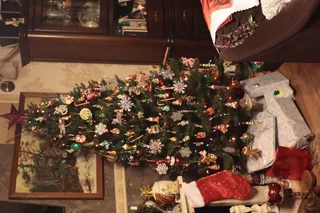 Rollei Planar 50mm f1.8 HFT C (QBM) - 00001574.webp