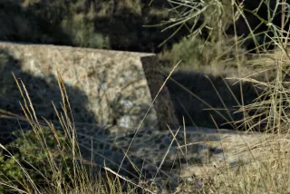 Tamron 28-300mm F3.5-6.3 (EF) - 00000773.webp