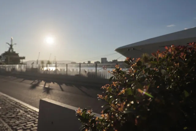 Tokina at-x 116 (EF) - 00002606.webp