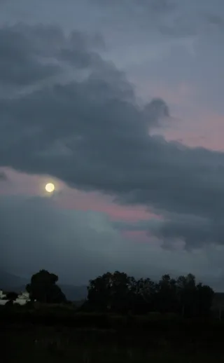 Zenith Helios-77M-4 50mm f1.8 VOMZ (M42) - 00001433.webp