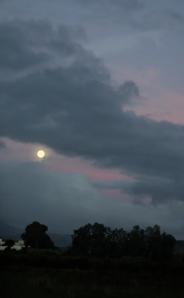 Zenith Helios-77M-4 50mm f1.8 VOMZ (M42) - 00001433.webp