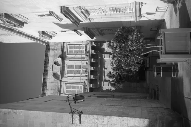 Meyer-Optik Görlitz Primagon 35mm f4.5 (M42) - 00003662.webp