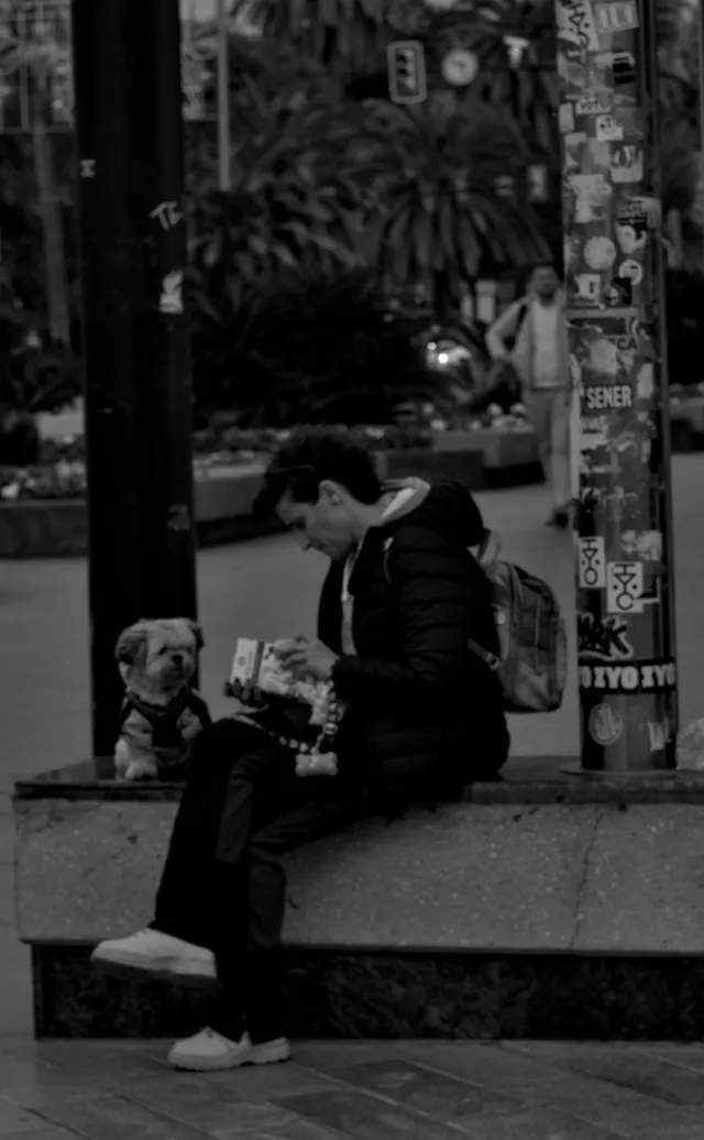 Zenith Helios-77M-4 50mm f1.8 VOMZ (M42) - 00000478.webp