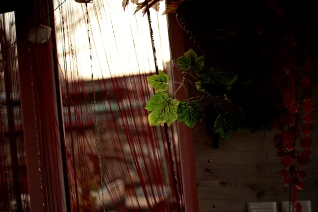 Miranda 75-300mm f4.5-5.6 MC Macro (Olympus OM) - 00005414.webp