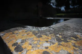 Carl Zeiss Flektogon f4 20mm (m42).md - 00003909.webp