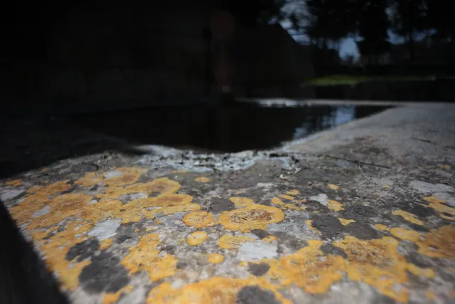 Carl Zeiss Flektogon f4 20mm (m42).md - 00003909.webp