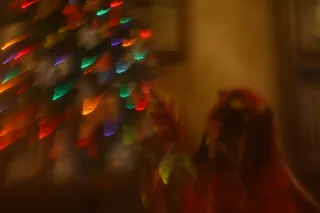 Meopta Belar 75mm F4.5 (M23.5) - 00003180.webp