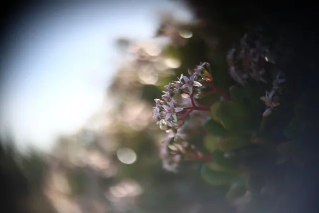 Simplex Ampro Ltd 2.5cala (63.5mm) f1.8 16mm (DIY) - 00003144.webp