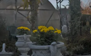 Meyer-Optik Görlitz Primagon 35mm f4.5 (M42) - 00000045.webp