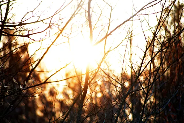 Spiratone Plura-Coat SharpShooter-S 400mm f6.3 (T2-M42) - 00005344.webp