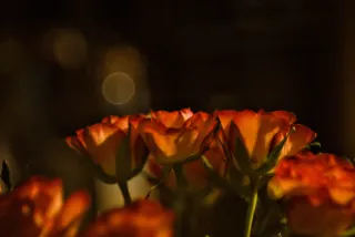 Minolta MC Rokkor-PF 55mm f1.7 (Minolta MCMD) - 00000006.webp